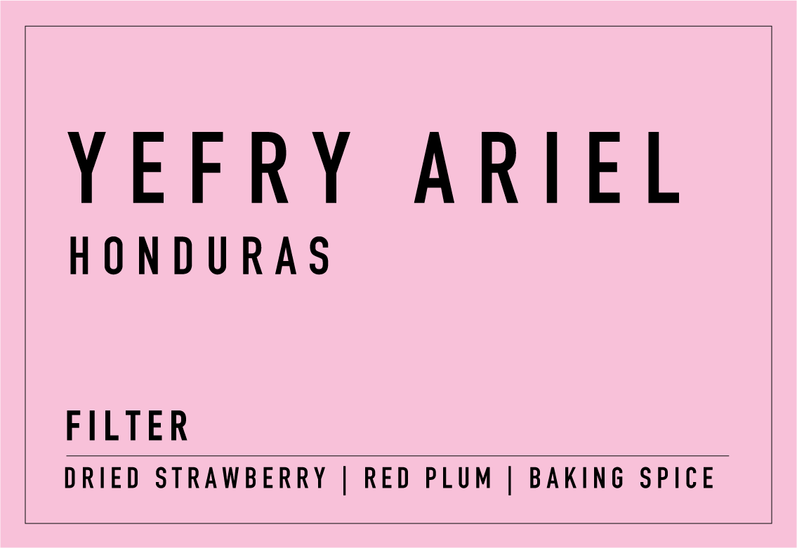 Yefry Ariel