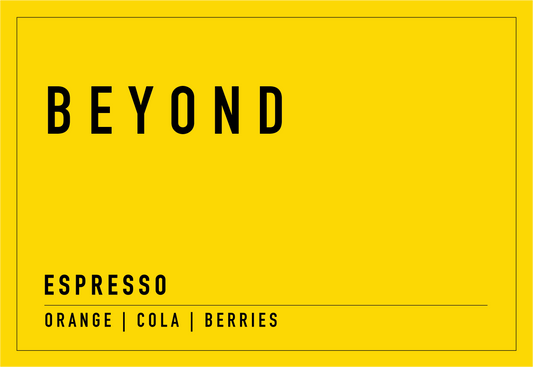 Prepaid Subscription - Beyond Blend