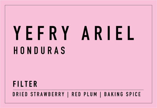 Yefry Ariel