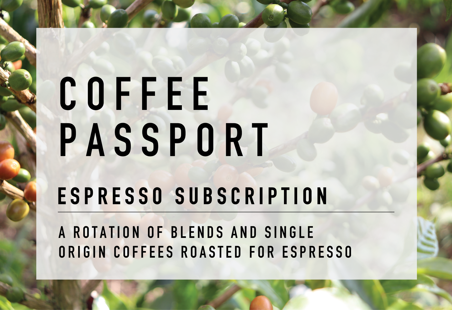 Pay As You Go Espresso Subscription