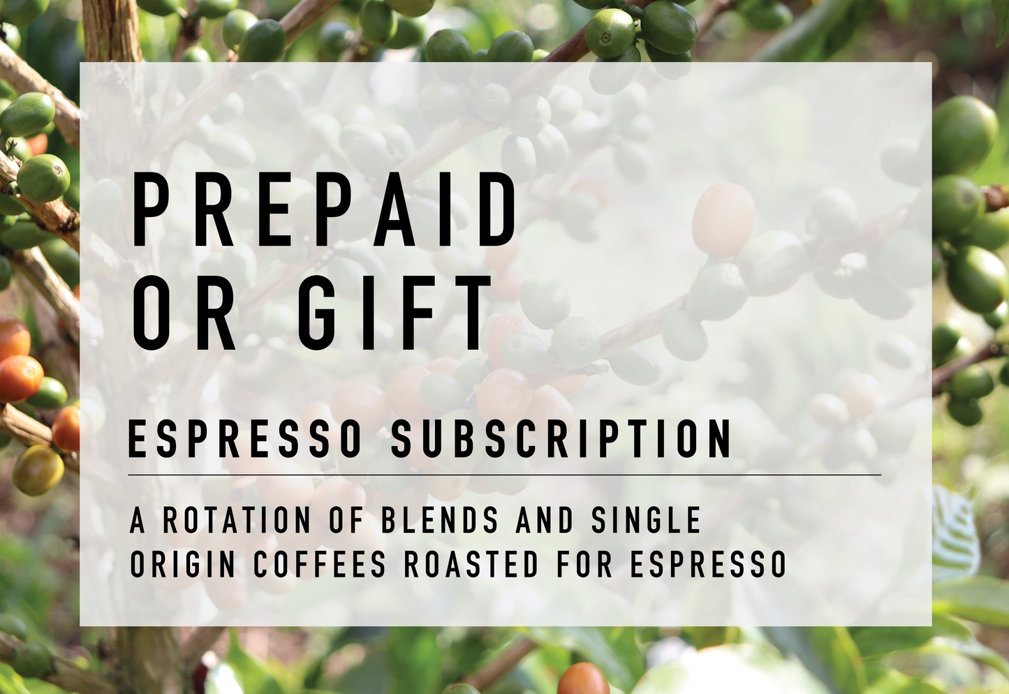 Prepaid/Gift Espresso Subscription